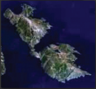 1750812603841.png